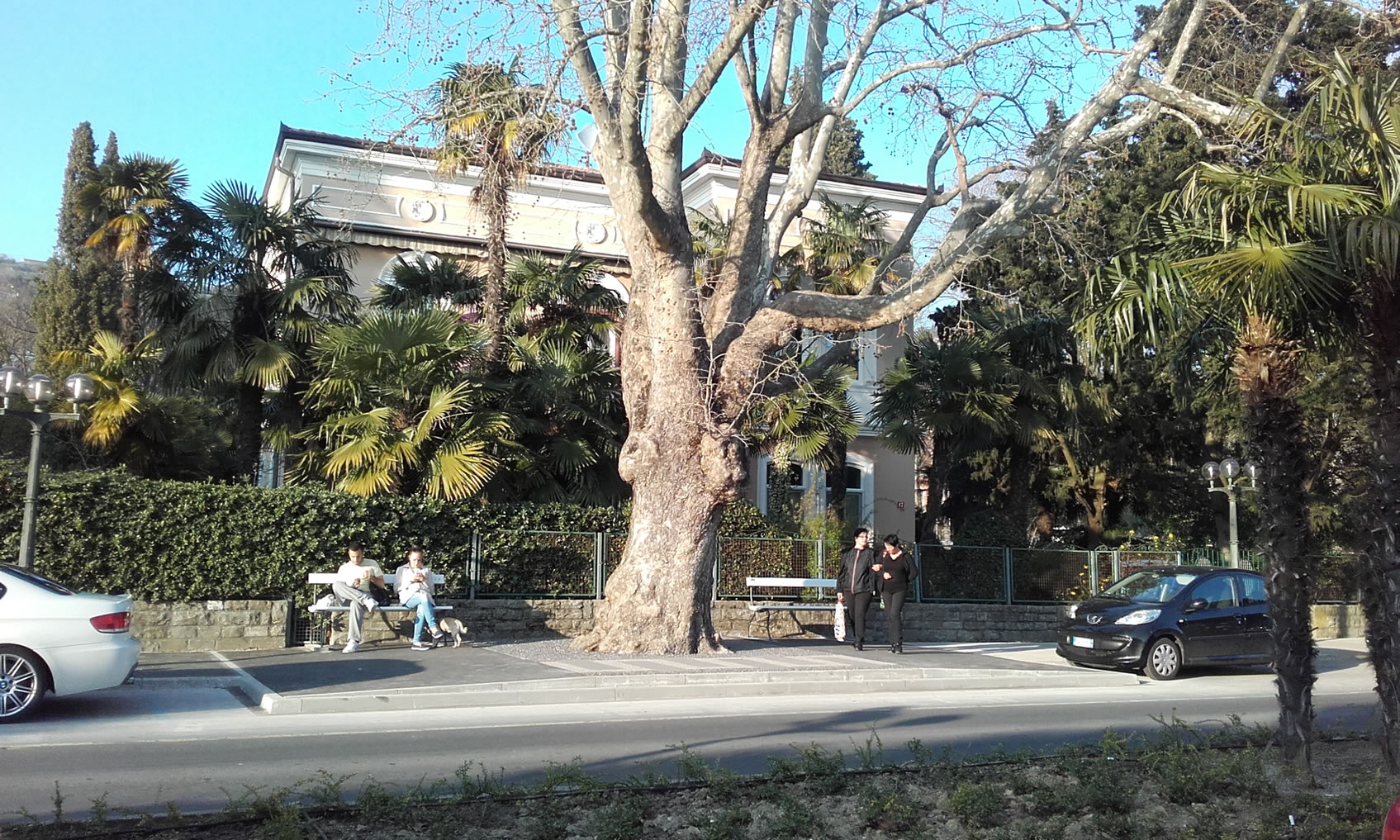 Platana Portorož urejeno 1