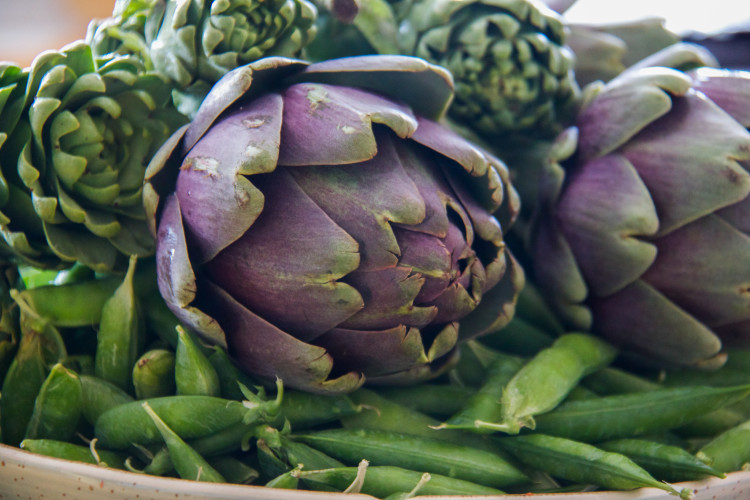 artičoke-s-bižima_1-750x500