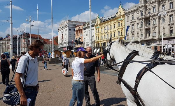 tina-maze-v-druzbi-elegantnih-lipicancev