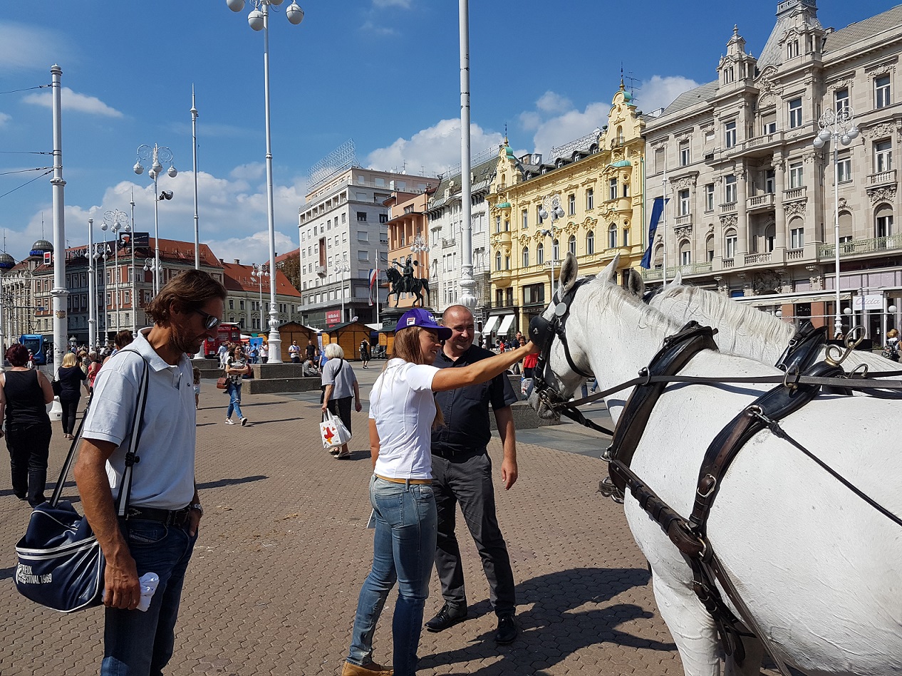 tina-maze-v-druzbi-elegantnih-lipicancev