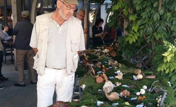 20161003_155230_resized1