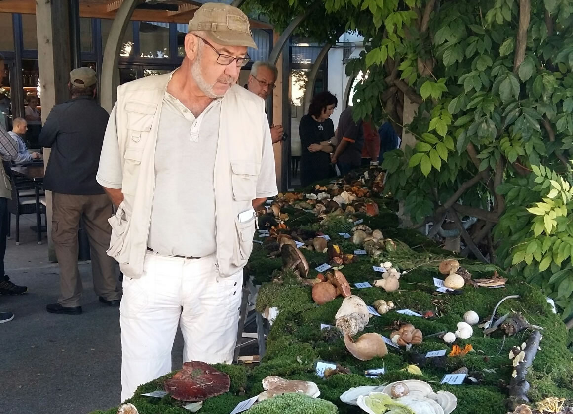 20161003_155230_resized1