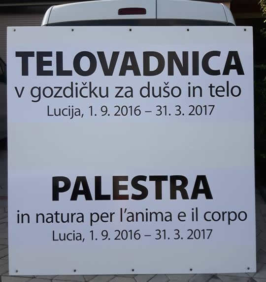 palestra1