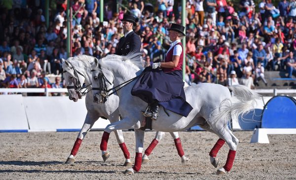 V Kobilarni Lipica bo 8. februarja izjemna praznična predstava Veliko potovanje (foto Sibil Slejko).