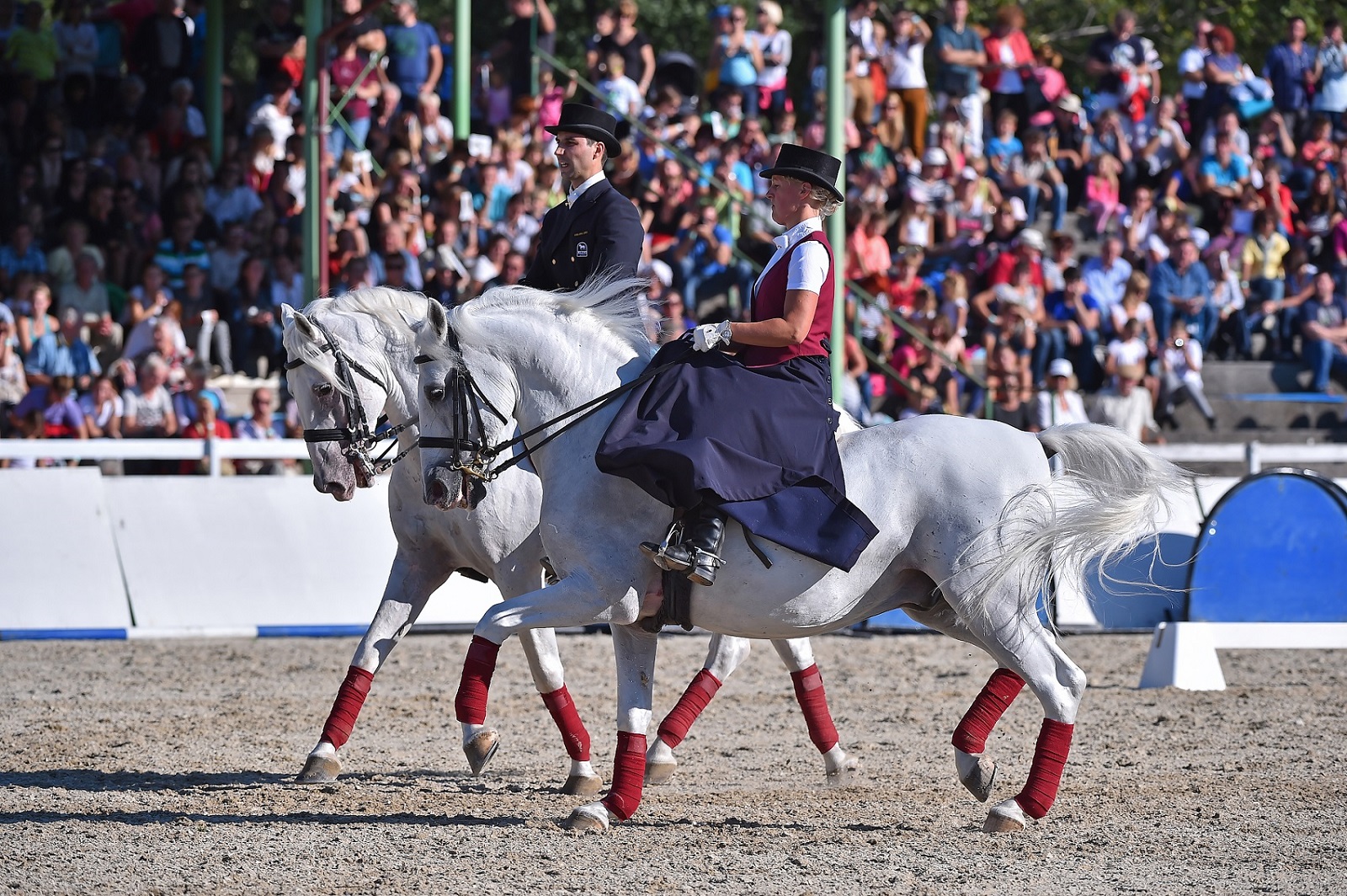 V Kobilarni Lipica bo 8. februarja izjemna praznična predstava Veliko potovanje (foto Sibil Slejko).