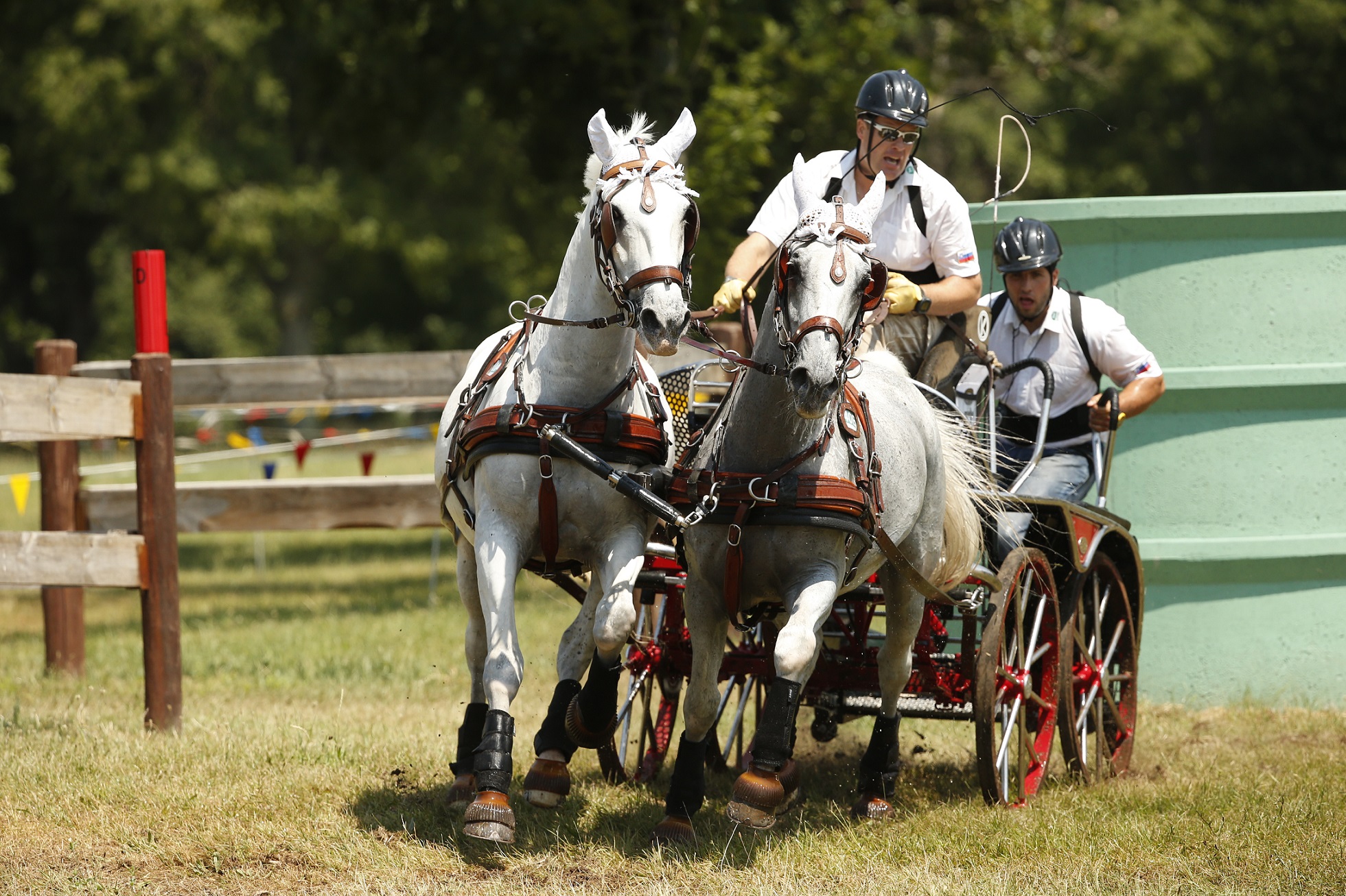 Le še 7 dni nas loči do otvoritvene svečanosti Svetovnega prvenstva v vožnji dvovpreg v Lipici (Foto_Gabriele Boiselle)